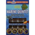 Marine Quintet