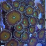 WhatsApp Image 2024 05 29 at 12.32.35 f2d7ec51