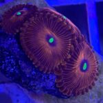 WhatsApp Image 2024 06 23 at 19.39.11 1ed2d636