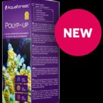 polyp up
