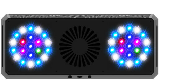thorxm4