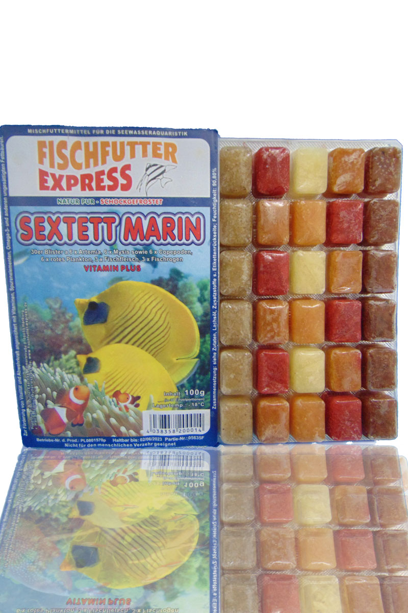 Marine Sextett