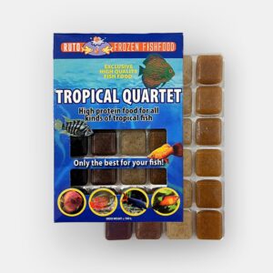 Tropical Quartet