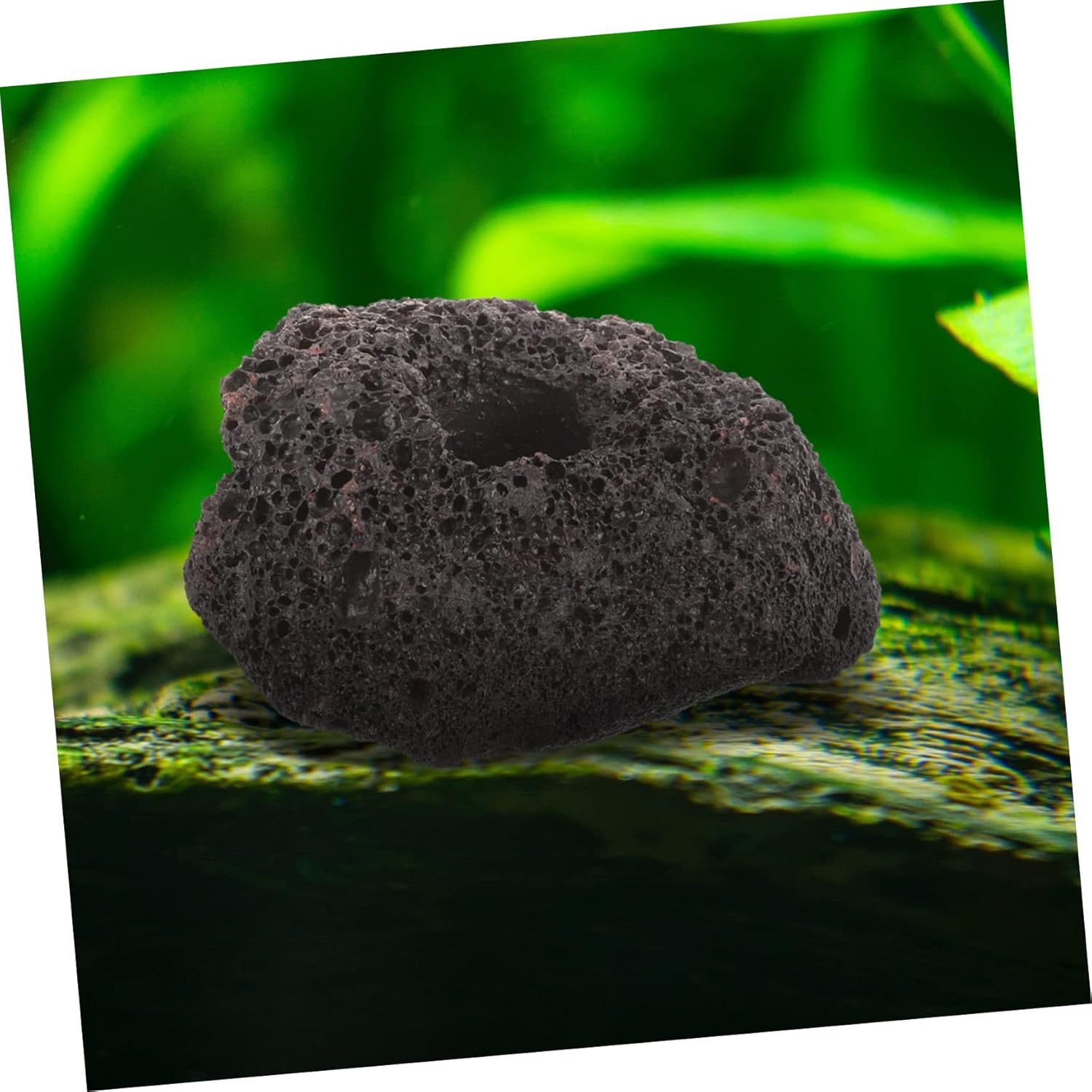 Lava Rock Plant Holder