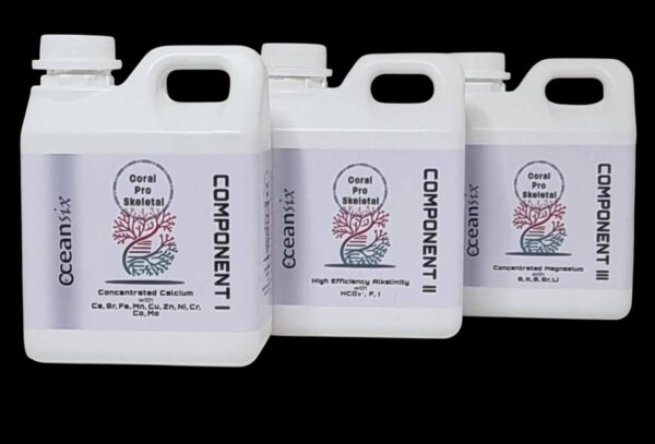 476432368_542472425234005_1196443784155859173_n Coral Pro Skeletal