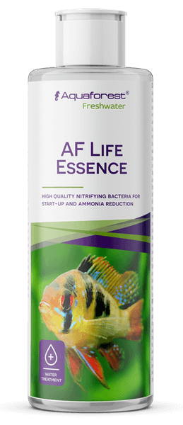 AF-Life-Essence AF Life Essence