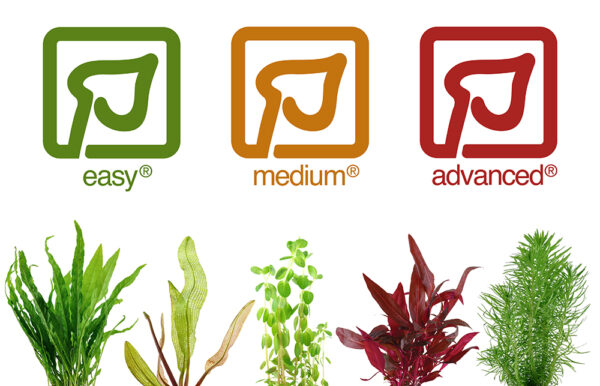 de rigtige planter forside 1000px