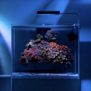 Skylight Hyperbar RXS.15 - Image 3