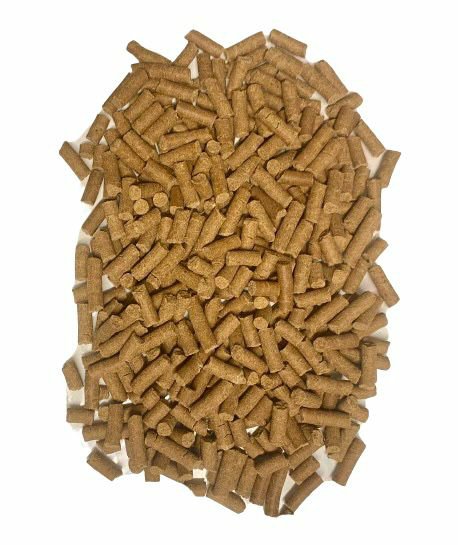 Shrimp Calcium Stick Premium