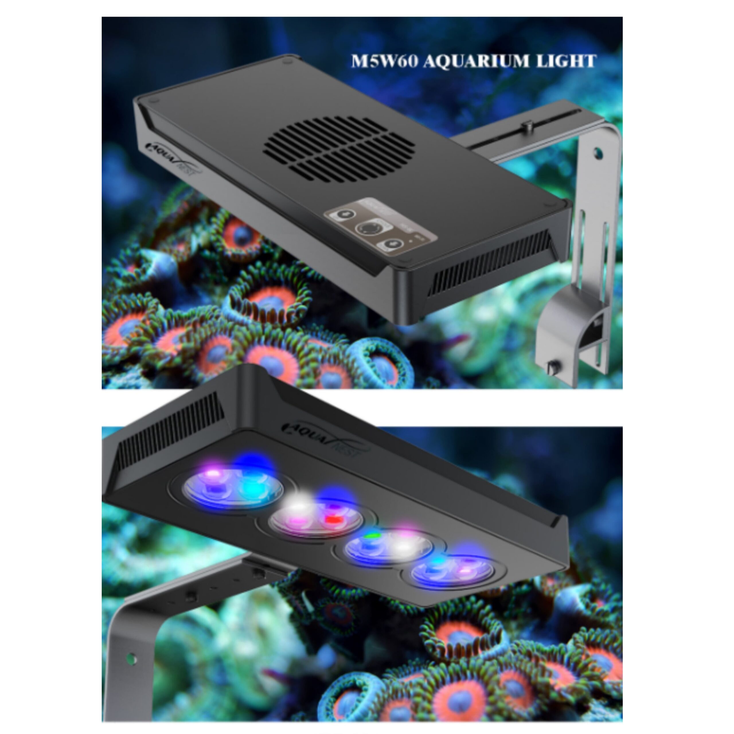 c36a1c0d ac85 4a19 a45d 1e8acb654435 scaled 1